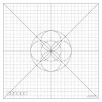 Concentric Circles Forming Complex Pattern vector