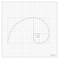 Golden Ratio Spiral On Notebook Sheet Of Checkered vector