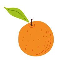 Fresh orange with a green leaf against a plain white background showcasing its vibrant color vector