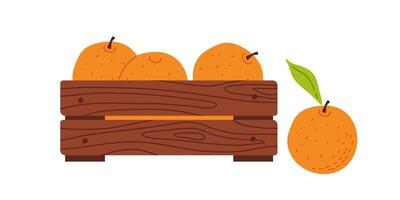 A wooden crate filled with fresh oranges and one orange beside it on a white background vector