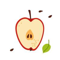 Sliced apple revealing the interior with distinct colors and features on a white background vector
