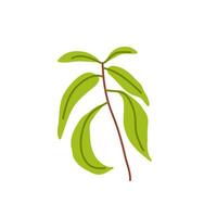Fresh green plant branch with vibrant leaves on a plain white background in a minimalist style vector