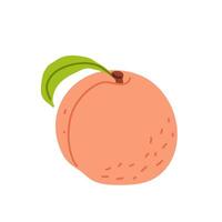 Sliced fruit and seed on a white background representing healthy snacking choices vector