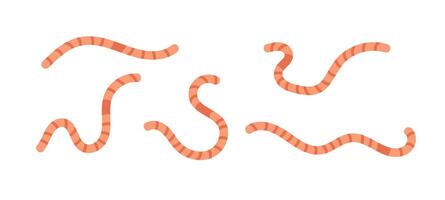 Colorful cartoon worms in various playful shapes on a white background vector