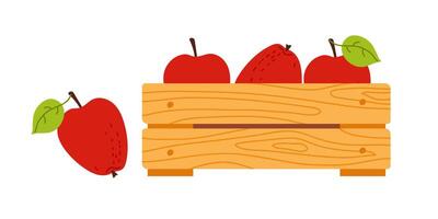 Freshly harvested apples in a wooden crate with green leaves on a sunny day vector