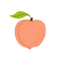 A vibrant peach with a green leaf, highlighting its natural color and texture vector