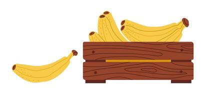 Fresh yellow bananas in a wooden box with a few spilled on the side in a bright setting vector