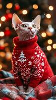 A Sphynx cat in cozy red ugly Christmas sweater with holiday tree design. Jumper Day vertical image photo