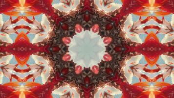 A kaleidoscopic pattern featuring swirling colors and shapes, creating a mesmerizing visual effect. video