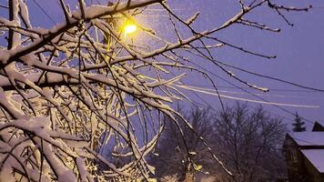 Snow-covered tree branches illuminated by street lamp at evening time. View of country snowy road with falling snow at winter night. Beautiful nature landscape at background. Slow motion video