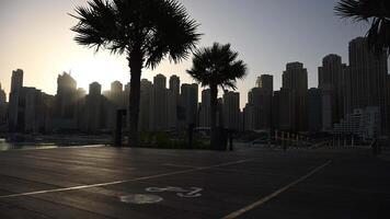 The sun is setting over a city skyline with palm trees casting long shadows video