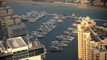 A busy harbor filled with numerous boats docked alongside towering skyscrapers. The scene captures the vibrant activity of maritime transport in an urban setting video