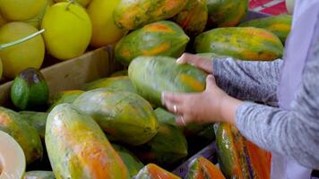 a hand picks up an pawpaw from a pile of other pawpaw it's free videos