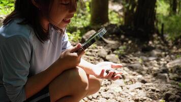 A girl examines rocks through a magnifying glass while exploring the nature of a forest on a sunny day. Outdoor ecology school lesson. video
