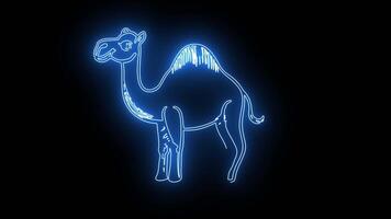 icon of a camel with a neon effect that lights up blue video