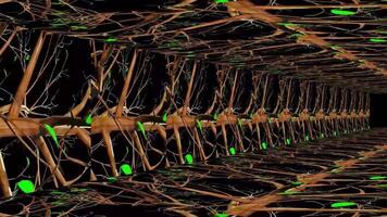 Abstract Art Digital Rendering video