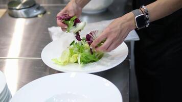 put lettuce leaves on a plate for salad Putting fresh herbs on a plate, creating a set with greens including leaves of lettuce, spinach, basil, and arugula. serving a fresh vegan salad video