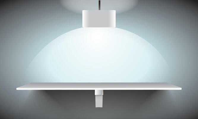 Minimalistic Shelf with Modern Pendant Light