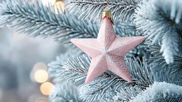Sparkling pink star ornament on frosted christmas tree branch with soft bokeh for merry christmas and happy new year video