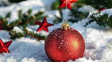 Sparkling red christmas ornament on snow with pine branches and stars, celebrating merry christmas and happy new year video