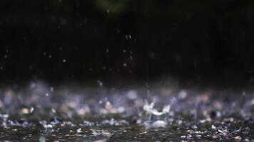 Raindrops falling on a wet surface video