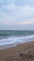 Experience a serene sandy beach with waves crashing on a cloudy day video