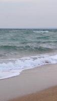 Waves crashing on the sand at a beach with the ocean behind video