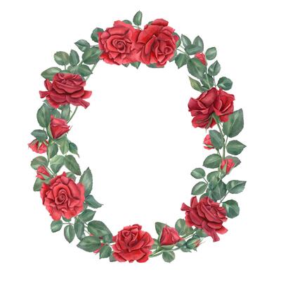 Oval wreath with rose branches in modern style. Blooming dark red flowers, buds, leaves watercolor illustration with copy space for text. Floral template for wedding invitation, birthday greeting card