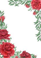 Red rose flowers, abstract leaves watercolor vertical rectangle frame. Summer garden blooming deep ruby roses with eucalyptus. Empty space for text. Template for invitations, greeting cards vector
