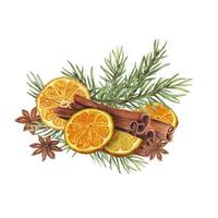 Dry orange slice, cinnamons sticks, star anise and spruce branch watercolor botanical illustration. Citrus, evergreen, spice, badian. Winter composition for the design of cards, package vector