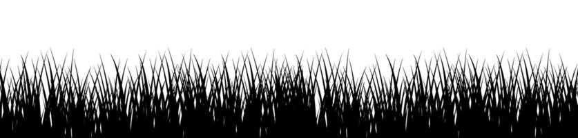 Green grass on white background vector