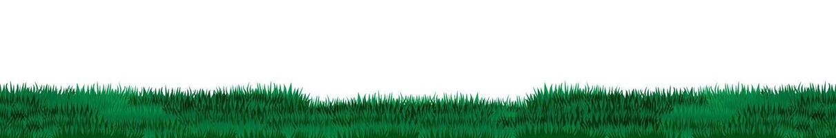 Border of green grass template vector