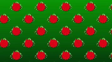 Vietnamese New Year Animated Loop Background with Watermelons video