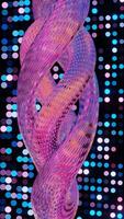 Abstract 3D Structure with Pink and Purple Mesh and Neon Bokeh Background video