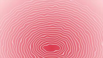 Red color wiggling parallel circular repeating lines modern design loop able geometrical background video