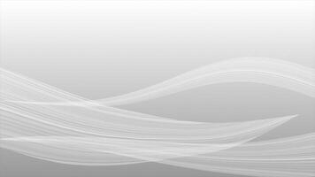 white color simple and classy wavy lines modern design geometrical background for presentation purpose video
