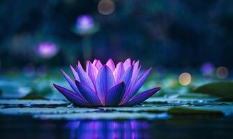 A single purple lotus flower blooms in a calm pond, its reflection shimmering on the water. The background is a blur of lush greenery and a building, creating a serene and peaceful atmosphere. video