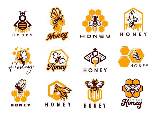 Honey bee, beekeeping icons with honeycombs