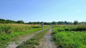 Man walking along a rural dirt road, surrounded by fields and forest, capturing the peaceful, rustic atmosphere of countryside life. Simple, quiet scene emphasizing solitude and nature. video