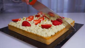 Cake is cut in two with the knife video