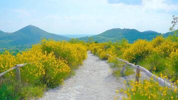 Panoramic path with a beautiful view of the Euganean hills video