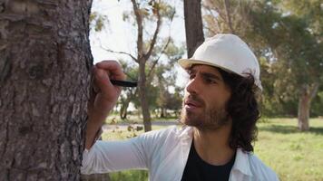 Scientist Checks the Bark of a Diseased Tree to Decide on Felling Deforestation video
