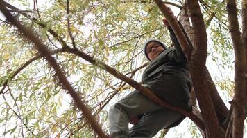 Young boy climbing a tree in autumn a low-angle view of a young boy climbing a tree in autumn, enjoying the outdoors and exploring nature video
