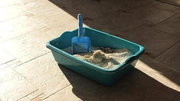 Sunlight streaming across a blue litter box filled with clumping cat litter creates shifting shadows on the floor. A blue scoop rests nearby, emphasizing cleanliness and hygiene video