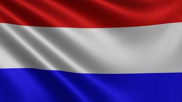 Flag of the Netherlands in the wind close-up, national flag Netherlands video