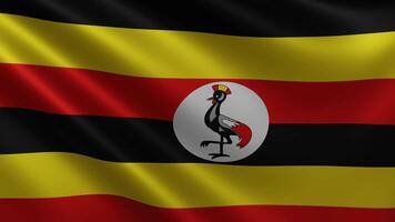 Ugandan flag fluttering in the wind closeup, the national flag of Uganda video