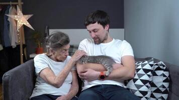 Animal therapy. An elderly person and caregiver receiving psychological support using pets in a nursing home. The senior woman is very happy and strokes a cute kitten with an assistant on the couch. video