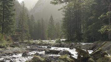 Clear mountain stony river flows in valley top of mountain overlooking snow-capped mountains in Alps between Germany and Austria in sunny spring weather with haze. Conservation area. Natural reserve. video