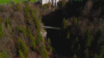 Aerial view Neuschwanstein Castle and bridge Marienbrucke across Pollat gorge in Ammergau Alps. View of famous Neuschwanstein Castle, Fussen, Bavaria, Germany and Marys bridge over cliff video