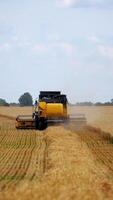 Process of gathering a ripe crop from the fields. Combine harvester in action on wheat field. Vertical video